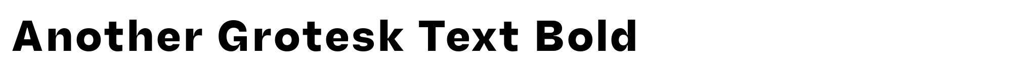 Another Grotesk Text Bold image